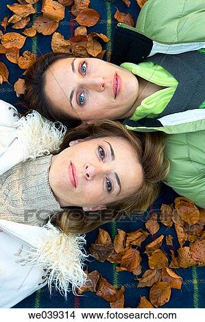 companion, companionship, autumn View Large Photo Image Picture - companion, companionship, autumn. Fotosearch