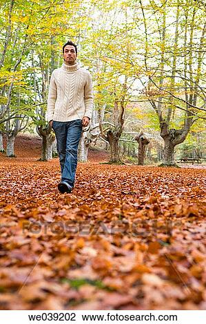 Stock Image - contemporary, autumn. Fotosearch