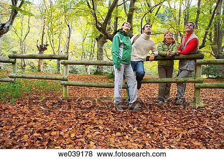 contemporary, autumn View Large Photo Image Stock Photo - contemporary, autumn. Fotosearch