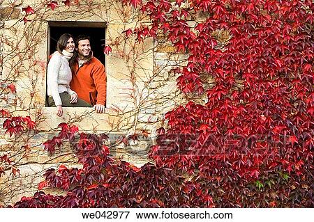 contemporary, cottage, autumn View Large Photo Image Stock Photo - contemporary, cottage, autumn. Fotosearch