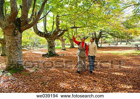 contemporary, country, autumn View Large Photo Image Picture - contemporary, country, autumn. Fotosearch