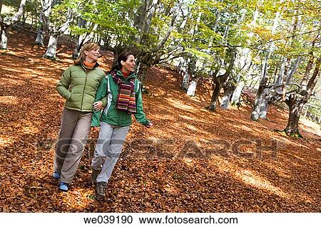 contemporary, country, autumn View Large Photo Image Stock Image - contemporary, country, autumn. Fotosearch