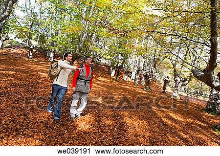contemporary, country, autumn View Large Photo Image Stock Image - contemporary, country, autumn. Fotosearch