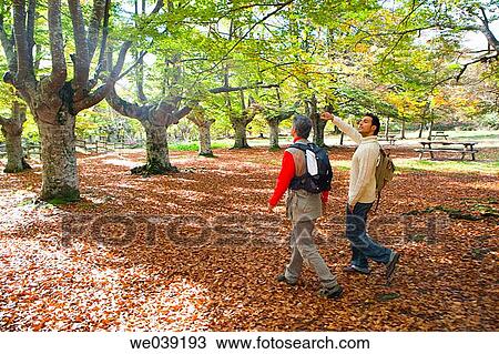 contemporary, country, autumn View Large Photo Image Stock Image - contemporary, country, autumn. Fotosearch