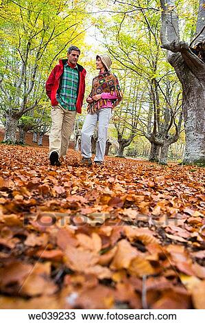 contemporary, country, autumn View Large Photo Image Stock Image - contemporary, country, autumn. Fotosearch