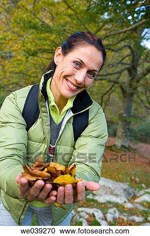 contemporary, country, autumn View Large Photo Image Stock Image - contemporary, country, autumn. Fotosearch