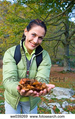 contemporary, country, autumn View Large Photo Image Stock Photo - contemporary, country, autumn. Fotosearch