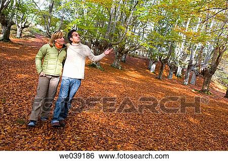 Stock Photograph - contemporary, country, autumn. Fotosearch