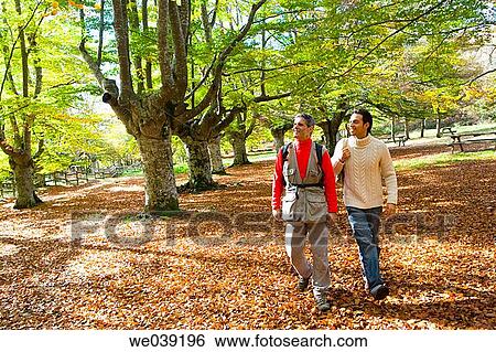contemporary, country, autumn View Large Photo Image Stock Photograph - contemporary, country, autumn. Fotosearch
