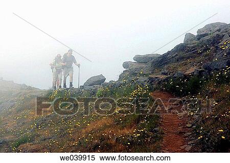 contemporary, fog, excursion, day, adventure View Large Photo Image Stock Photography - contemporary, fog, excursion, day, adventure. Fotosearch