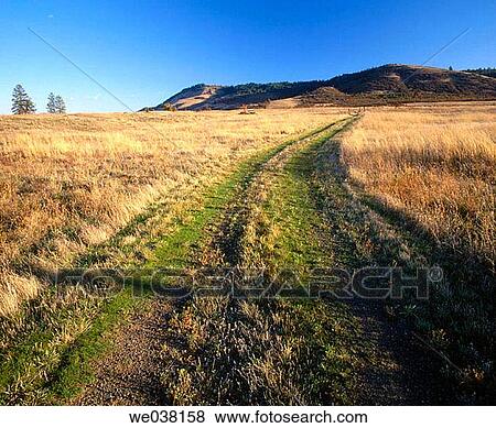 Country road going over Rowena Plateau, Columbia River Gorge National Scenic Area in October. Wasco County, Oregon, USA View Large Photo Image Stock Photo - Country road going over Rowena Plateau, Columbia River Gorge National Scenic Area in October. Wasco County, Oregon, USA. Fotosearch
