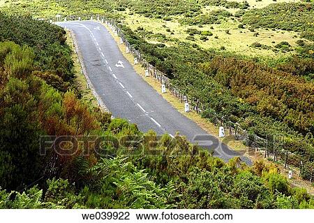 Country road, green, Empty road, day, Aerial view View Large Photo Image Stock Image - Country road, green, Empty road, day, Aerial view. Fotosearch