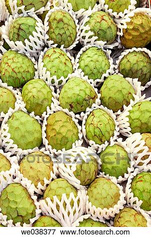 Stock Photo - Custard apples at La Boquer? a market, Barcelona. Catalonia, Spain. Fotosearch