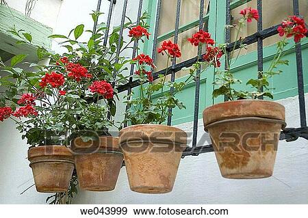 day, Europe, detail, Andalusia View Large Photo Image Stock Photo - day, Europe, detail, Andalusia. Fotosearch