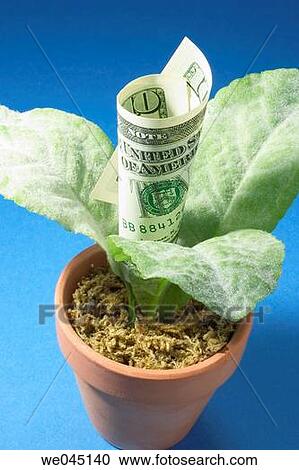 Dollar note and artificial pot plant View Large Photo Image Stock Image - Dollar note and artificial pot plant. Fotosearch
