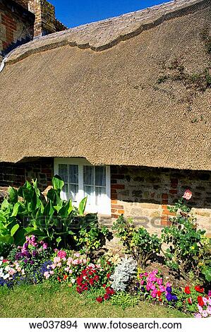 England, Sussex, Selsey, thatched cottage View Large Photo Image Picture - England, Sussex, Selsey, thatched cottage. Fotosearch