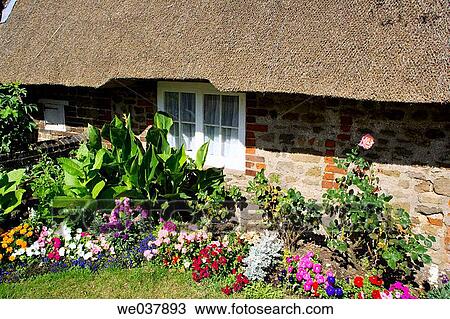 England, Sussex, Selsey, thatched cottage View Large Photo Image Stock Image - England, Sussex, Selsey, thatched cottage. Fotosearch