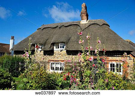 England, Sussex, Selsey, thatched cottage View Large Photo Image Stock Photo - England, Sussex, Selsey, thatched cottage. Fotosearch