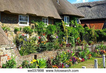 England, Sussex, Selsey, thatched cottage View Large Photo Image Stock Photo - England, Sussex, Selsey, thatched cottage. Fotosearch