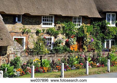 England, Sussex, Selsey, thatched cottage View Large Photo Image Stock Photograph - England, Sussex, Selsey, thatched cottage. Fotosearch