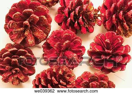 Fir cones View Large Photo Image Stock Image - Fir cones. Fotosearch