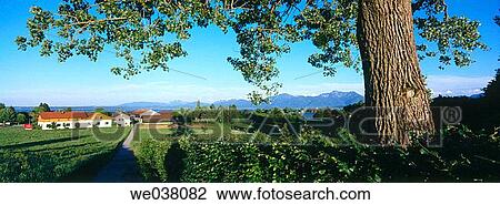 Gstadt. Chiemsee. Chimegau. Upper Bavaria. Bavaria. Germany. View Large Photo Image Stock Image - Gstadt. Chiemsee. Chimegau. Upper Bavaria. Bavaria. Germany.. Fotosearch