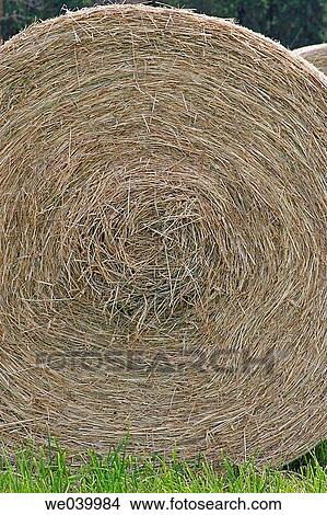 Hay bale. View Large Photo Image Picture - Hay bale.. Fotosearch