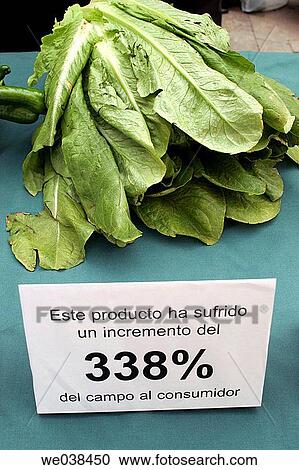 Lettuce and farmer's protest sign against price manipulation by middlemen. Valencia, Comunidad Valenciana, Spain View Large Photo Image Stock Image - Lettuce and farmer's protest sign against price manipulation by middlemen. Valencia, Comunidad Valenciana, Spain. Fotosearch