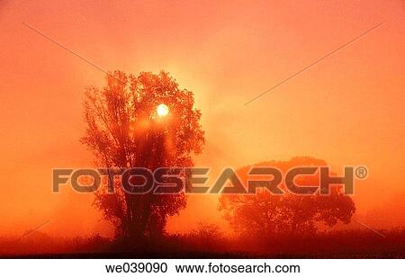 Morning fog. Franconia. Bavaria. Germany. View Large Photo Image Stock Image - Morning fog. Franconia. Bavaria. Germany.. Fotosearch