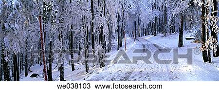 Mountain Hoher Bogen. Oberpfalz / Upper Palatinate. Bavaria. Germany. View Large Photo Image Stock Image - Mountain Hoher Bogen. Oberpfalz / Upper Palatinate. Bavaria. Germany.. Fotosearch