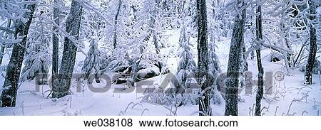 Stock Photo - Mountain Hoher Bogen. Oberpfalz / Upper Palatinate. Bavaria. Germany.. Fotosearch