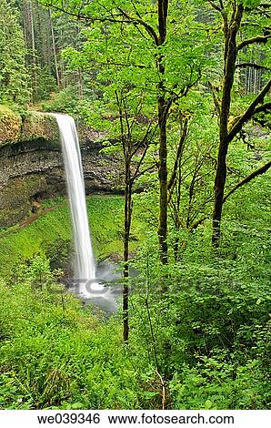 North Falls in Silver Falls State Park near Silverton, Oregon, USA View Large Photo Image Stock Photograph - North Falls in Silver Falls State Park near Silverton, Oregon, USA. Fotosearch