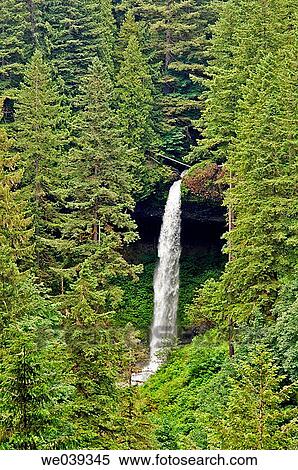 North Falls in Silver Falls State Park near Silverton, Oregon, USA View Large Photo Image Stock Photography - North Falls in Silver Falls State Park near Silverton, Oregon, USA. Fotosearch
