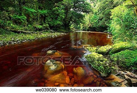 Oparara River. Kahurangi National Park. New Zealand View Large Photo Image Stock Image - Oparara River. Kahurangi National Park. New Zealand. Fotosearch