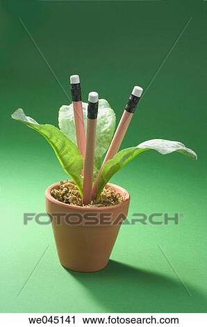 Pencils and artificial pot plant View Large Photo Image Stock Image - Pencils and artificial pot plant. Fotosearch