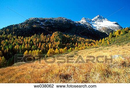 Piz Polaschin (3013m). Alps of Eastern Switzerland. View Large Photo Image Stock Image - Piz Polaschin (3013m). Alps of Eastern Switzerland.. Fotosearch