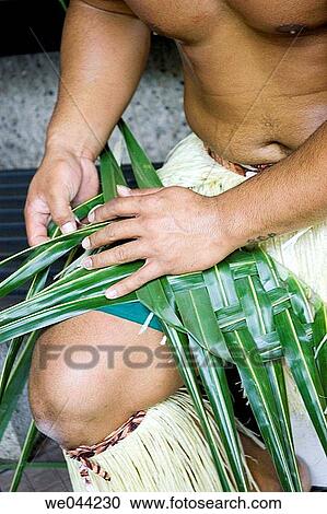 Polynesian dancer using plants to make mat View Large Photo Image Stock Image - Polynesian dancer using plants to make mat. Fotosearch