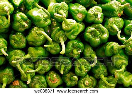 Red peppers at La Boquer? a market, Barcelona. Catalonia, Spain View Large Photo Image Stock Image - Red peppers at La Boquer? a market, Barcelona. Catalonia, Spain. Fotosearch