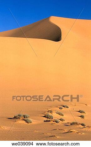 Sand dunes, desert. Sahara, Grand Erg Oriental. Algeria. View Large Photo Image Picture - Sand dunes, desert. Sahara, Grand Erg Oriental. Algeria.. Fotosearch