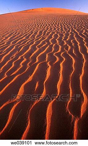 Sand dunes, desert. Sahara, Grand Erg Oriental. Algeria. View Large Photo Image Stock Image - Sand dunes, desert. Sahara, Grand Erg Oriental. Algeria.. Fotosearch