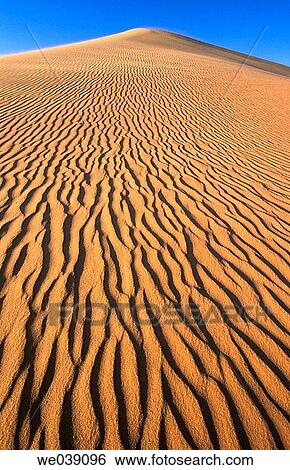 Sand dunes, desert. Sahara, Grand Erg Oriental. Algeria. View Large Photo Image Stock Photograph - Sand dunes, desert. Sahara, Grand Erg Oriental. Algeria.. Fotosearch