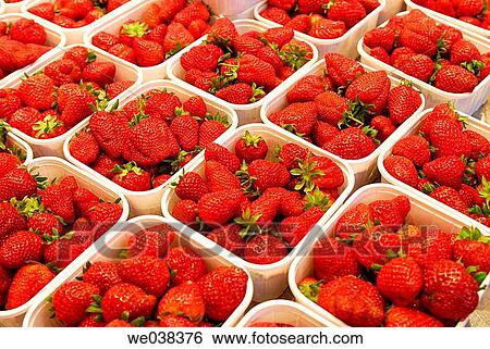 Strawberries at La Boquer? a market, Barcelona. Catalonia, Spain View Large Photo Image Stock Photograph - Strawberries at La Boquer? a market, Barcelona. Catalonia, Spain. Fotosearch