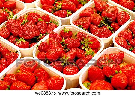 Strawberries at La Boquer? a market, Barcelona. Catalonia, Spain View Large Photo Image Stock Photography - Strawberries at La Boquer? a market, Barcelona. Catalonia, Spain. Fotosearch