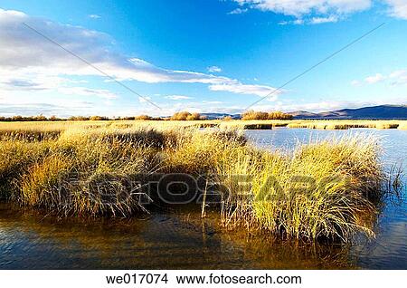 Tablas de Daimiel National Park. Ciudad Real province, Castilla-La Mancha, Spain View Large Photo Image Picture - Tablas de Daimiel National Park. Ciudad Real province, Castilla-La Mancha, Spain. Fotosearch