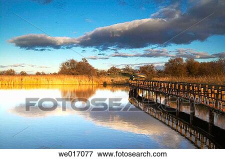 Tablas de Daimiel National Park. Ciudad Real province, Castilla-La Mancha, Spain View Large Photo Image Stock Photo - Tablas de Daimiel National Park. Ciudad Real province, Castilla-La Mancha, Spain. Fotosearch