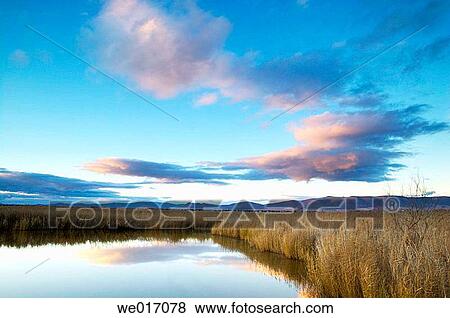Stock Photo - Tablas de Daimiel National Park. Ciudad Real province, Castilla-La Mancha, Spain. Fotosearch