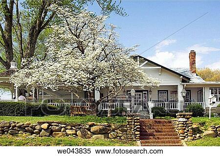 The Applewood Farm House restaurant with blossoming apple trees at Pigeon Forge, Tennessee USA. View Large Photo Image Stock Photography - The Applewood Farm House restaurant with blossoming apple trees at Pigeon Forge, Tennessee USA.. Fotosearch