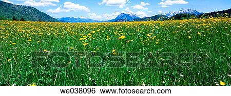 Thiersee. Alps. Tyrol. Austria. View Large Photo Image Stock Photograph - Thiersee. Alps. Tyrol. Austria.. Fotosearch