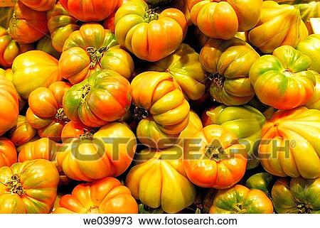 Tomatoes. Boquer? a market. Barcelona. Catalunya. Spain. View Large Photo Image Stock Image - Tomatoes. Boquer? a market. Barcelona. Catalunya. Spain.. Fotosearch