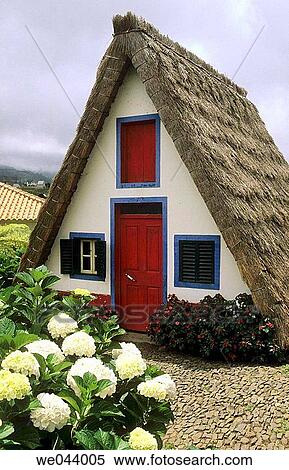 Typical Madeira styled thatched house, Madeira Island. Portugal View Large Photo Image Stock Photography - Typical Madeira styled thatched house, Madeira Island. Portugal. Fotosearch